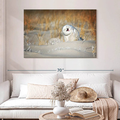 Brampt Funny Snowy Owl