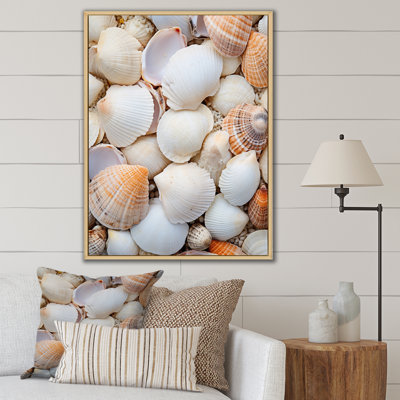 Lillyen " White Clam Nautical Treasures "
