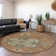 Premium Machine Washable Corum AMF1036 Oriental Rug