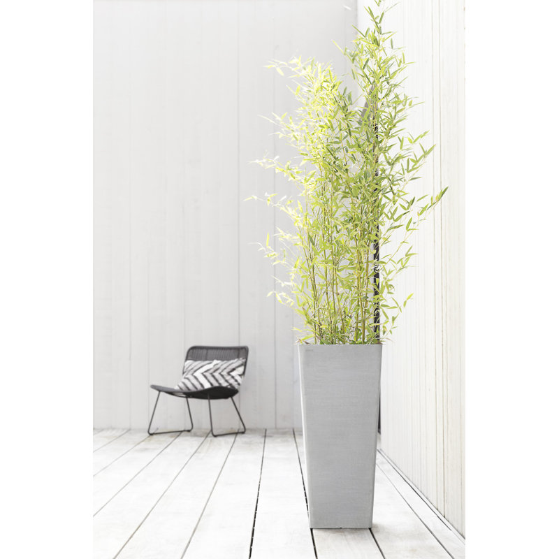 Pot Planter, White Gray
