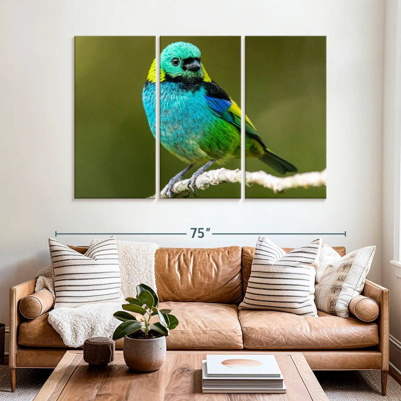Brampt Green Headed Tanager, 42" H x 65" W