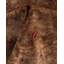 Tapis unique brun de 8 pi 3 po x 9 pi 10 po Yairely