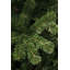 Artificial Christmas Tree-973279987