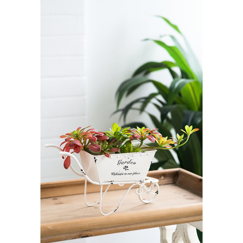 11,5 po de largeur, fer blanc, pot à fleurs style brouette, fleurs fraîches, plantes grasses, plateau de table