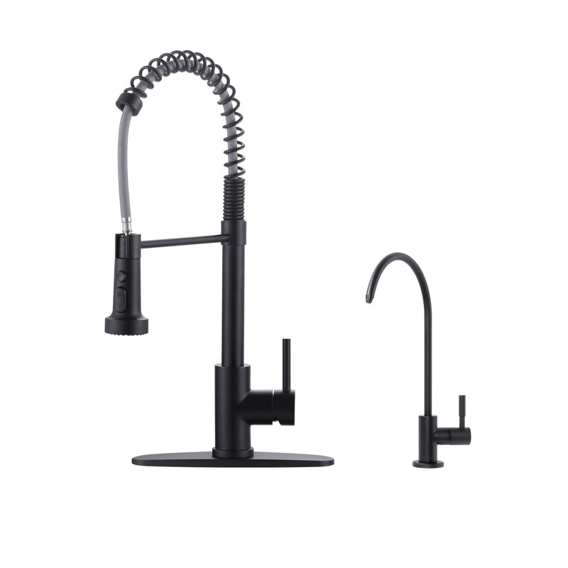 19 In. 360° Spout Swivel Pull Down Sprayer Kitchen Faucet With Water Filter Faucet In Matte Black, Matte Black