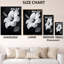 Tibbie II - Tableau botanique encadré noir-1992272586-1992272594