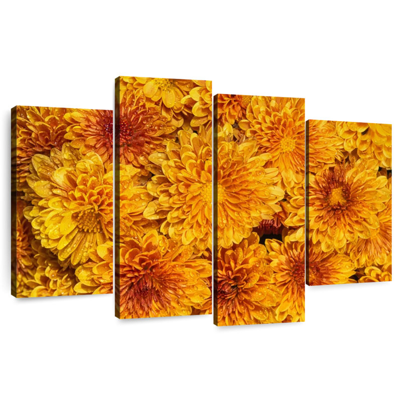 Harnek Chrysanthemums Bloom, H 32 po x l 52 po