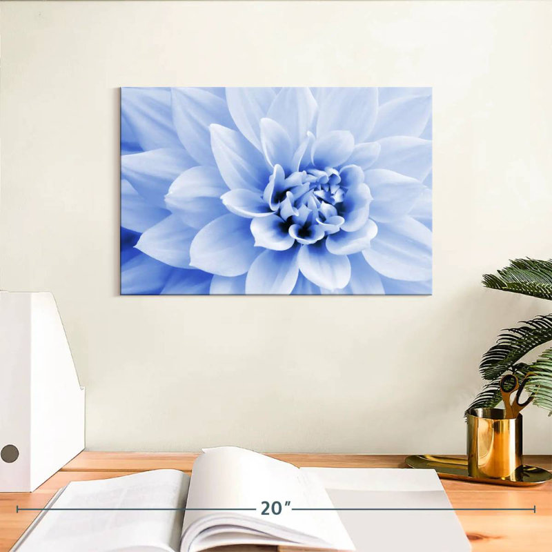 Dahlia bleu pastel Harnek, H 8 po x l 12 po