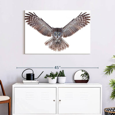 Owl Power