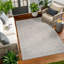 Aspa Traditional Indoor/Outdoor Rug