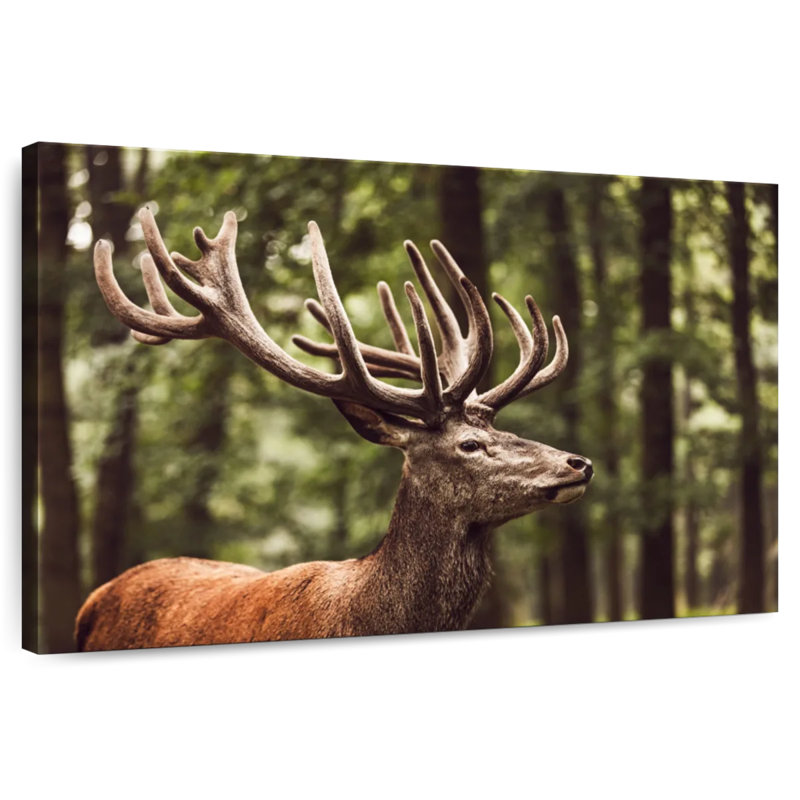 Brampt Dreamy Deer, 34" H x 51" W