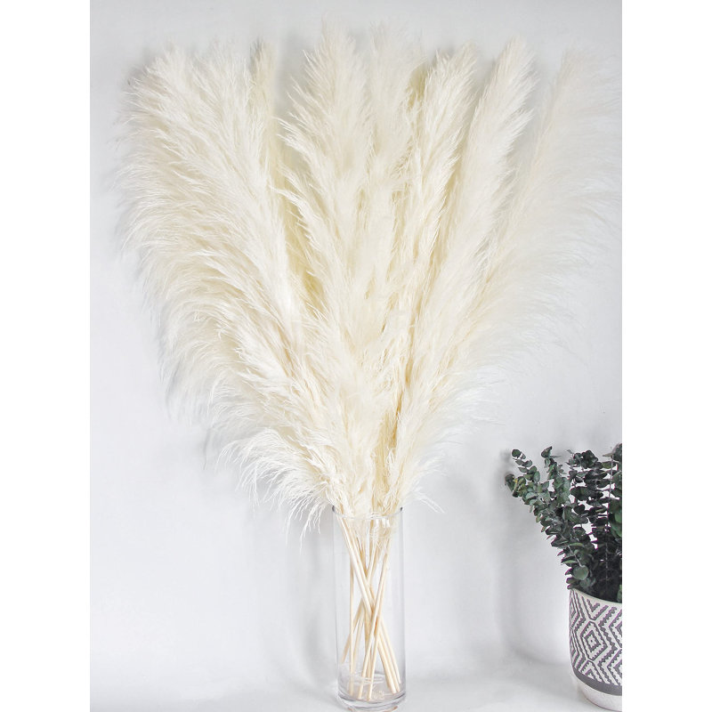 46'' Pampas Grass Plant