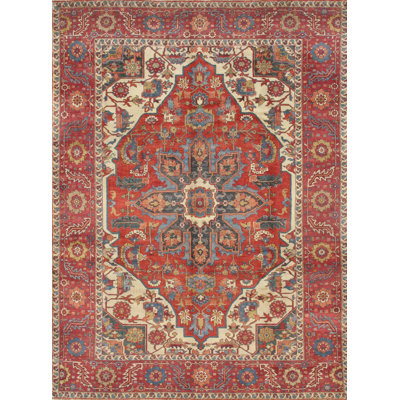Serapi Hand-Knotted Rust Lamb's Wool Area Rug