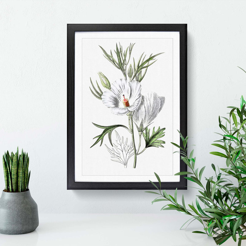 White Hibiscus Flowers - Framed Print, Black Framed, 48cm H x 36cm W x 2cm D
