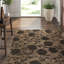 Floral Area Rug in Brown/Taupe-45410461
