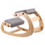 Adjustable Height Ergonomic Stool-1593526437-1593526438