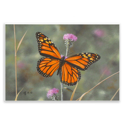 "Summer Summer Butterfly", art mural par Mark Kelso