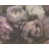 Gris / mauve / blanc est en rupture de stock