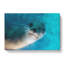 Face Of A Seal - Wrapped Canvas-61877221