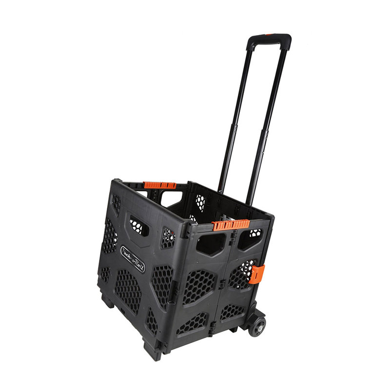 Camion inclinable 150 lb