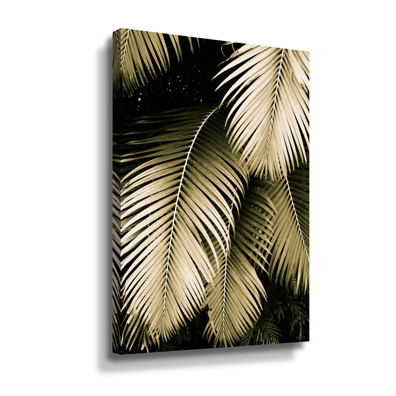 «Palm Fronds in Sephia» par Kathy Yates - reproduction de photo sur toile, H 12 po x l 8 po x P 2 po, Toile tendue