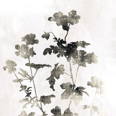 Black And Cream Botanical - Wrapped Canvas Art Prints