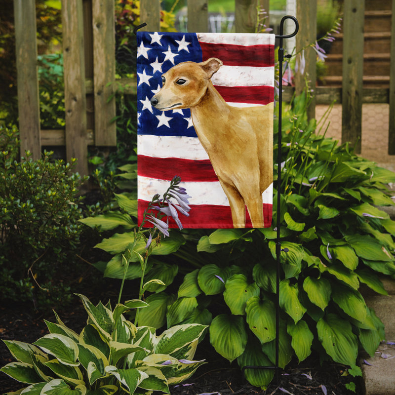 2 côtés en polyester de 2 côtés american drapeau de jardin, Lévrier italien gris