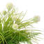 Allium and Fern Floral in Vase with Shells