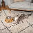 Artifacts Rattan™ Pet Bowl