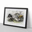 Wild Pig Illustration by Oliver Goldsmith - Picture Frame Painting Print-55612024-55612023