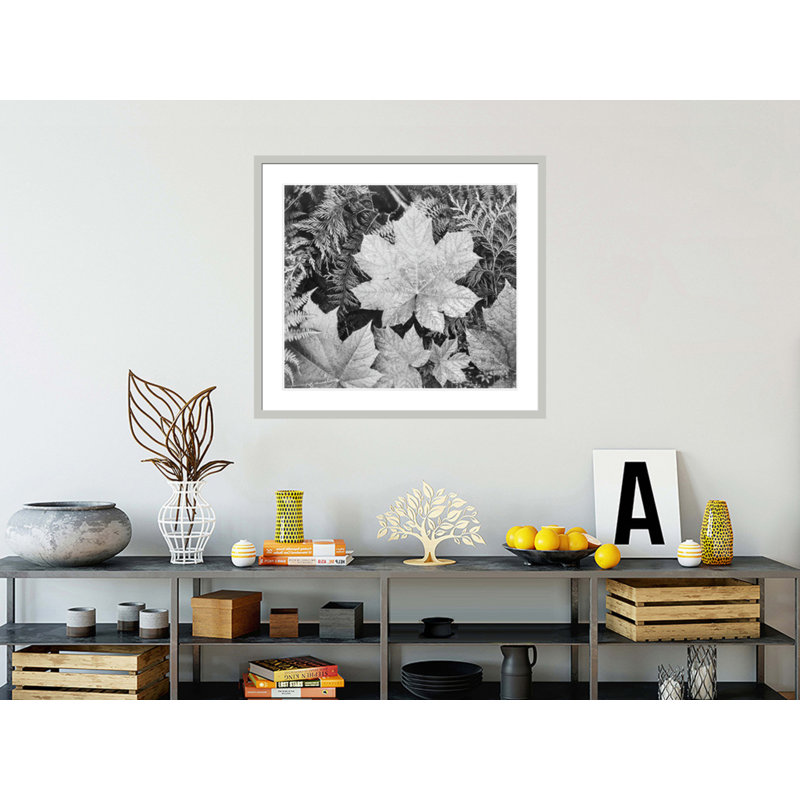 «In Glacier National Park» par Ansel Adams, impression giclée sur cadre, 33.5" H x 37.19" W