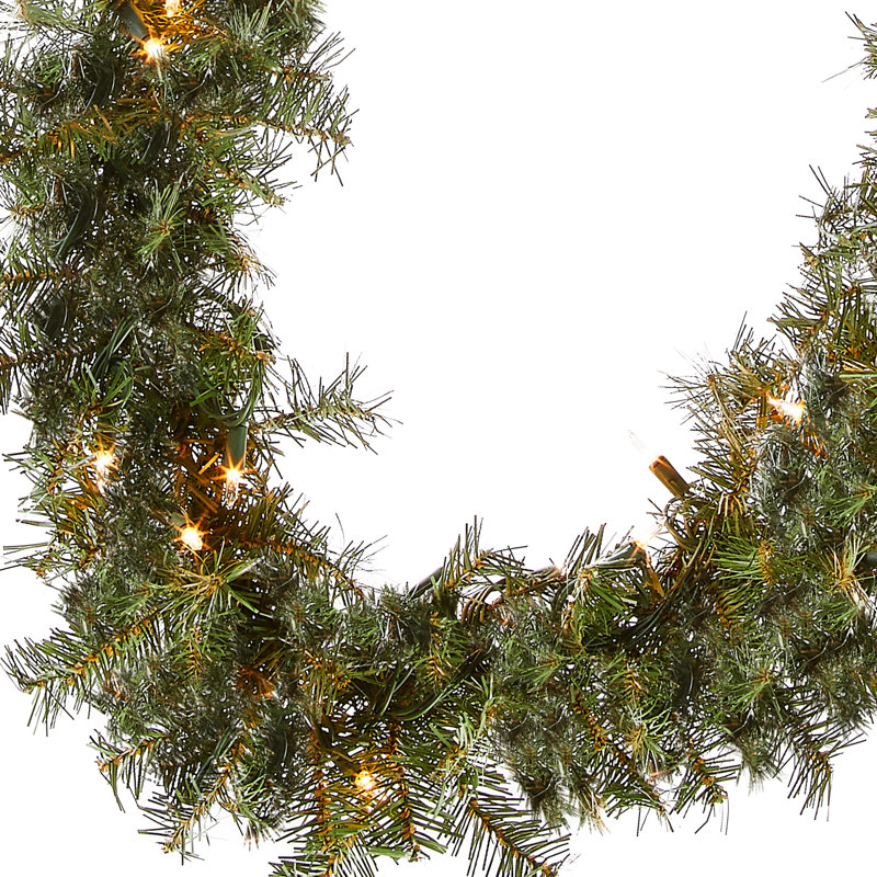 Norwood Fir Garland with Clear Lights, 9' L