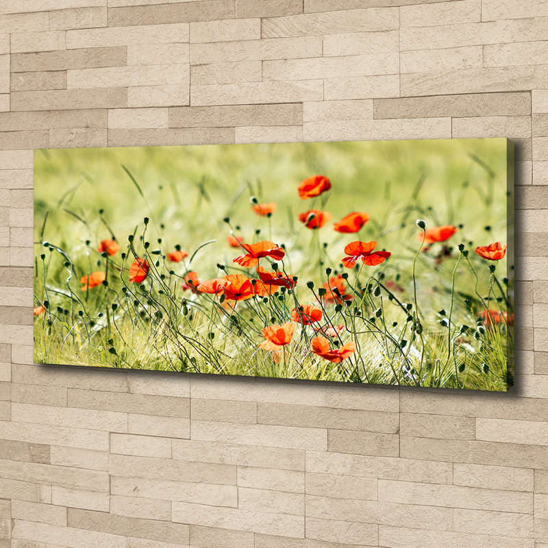 Maki - Wrapped Canvas Print