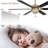 Landria 65" Crystal Ceiling Fan with Lights and Remote, Reversible DC Motor Gold Chandelier Ceiling Fan-250624120