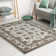 Ackermanville Indoor Rug