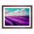 Walnut Framed