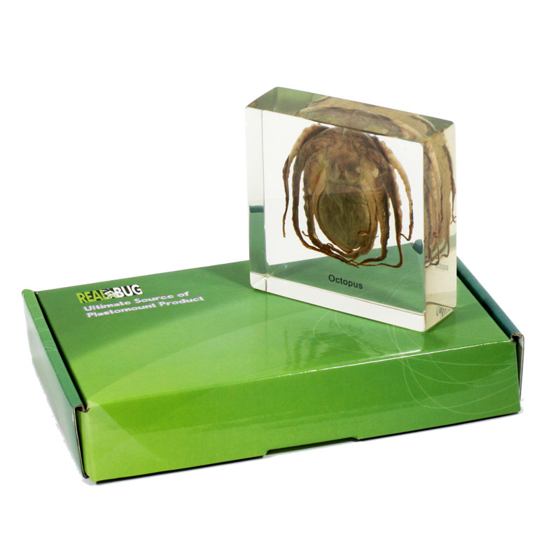 Philips Animals Figurines & Sculptures