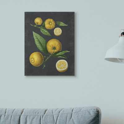 «Botanical Dessin Lemons On Black Design», impression