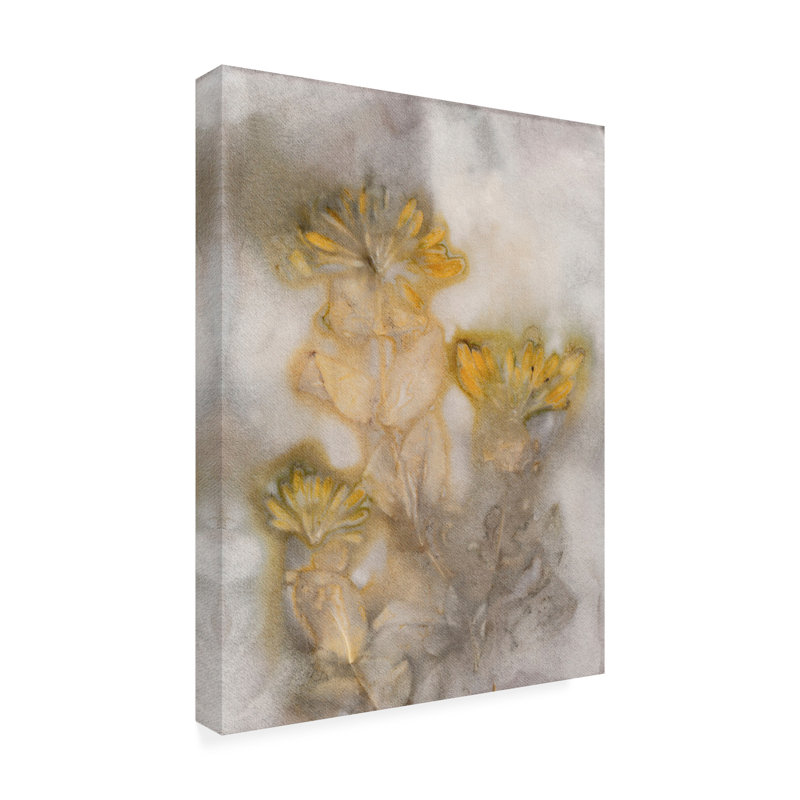 Art sur toile safran Pernille Folcarelli Honeysuckle, H 19 po x l 14 po x P 2 po