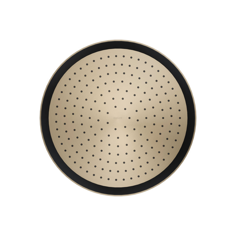 Statement 14" Single-Function Wall or Ceiling-Mount Round Rainhead, Round Rain Showerhead 2.5 GPM, Vibrant Brushed Bronze
