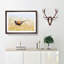 A Pheasant Bird - 1 Piece Picture Frame Rectangle Painting-56627960-56627961
