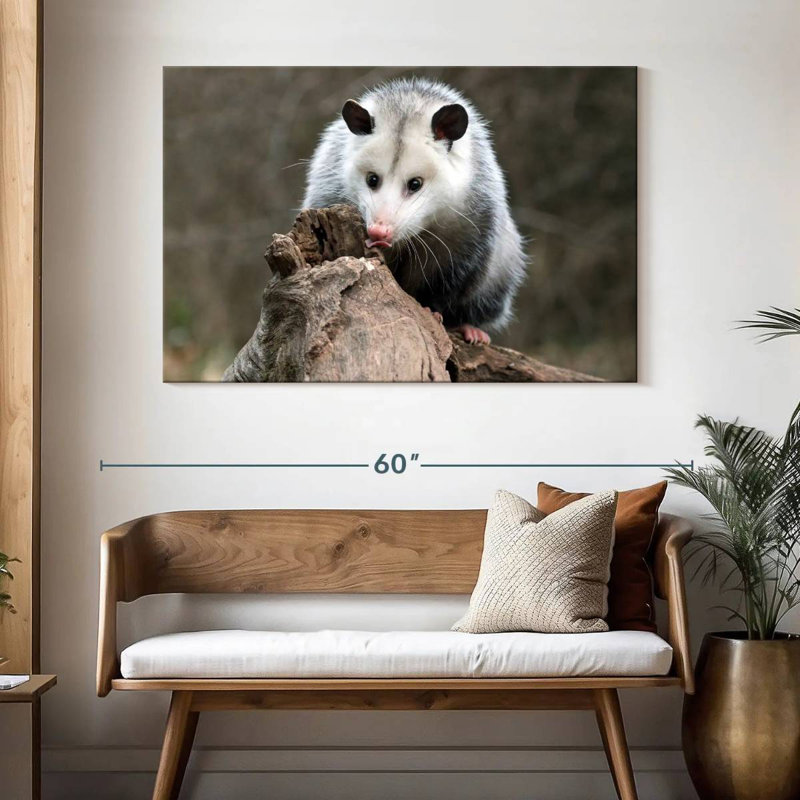 Bramble opossum, H 32 po x l 48 po
