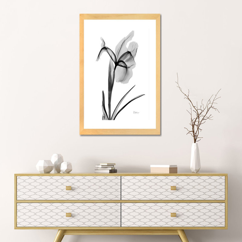 «Expressed Iris II» par Albert Koetsier, impression, Toile tendue, Aucun mat, H 26 po x l 18 po x 1,5 po