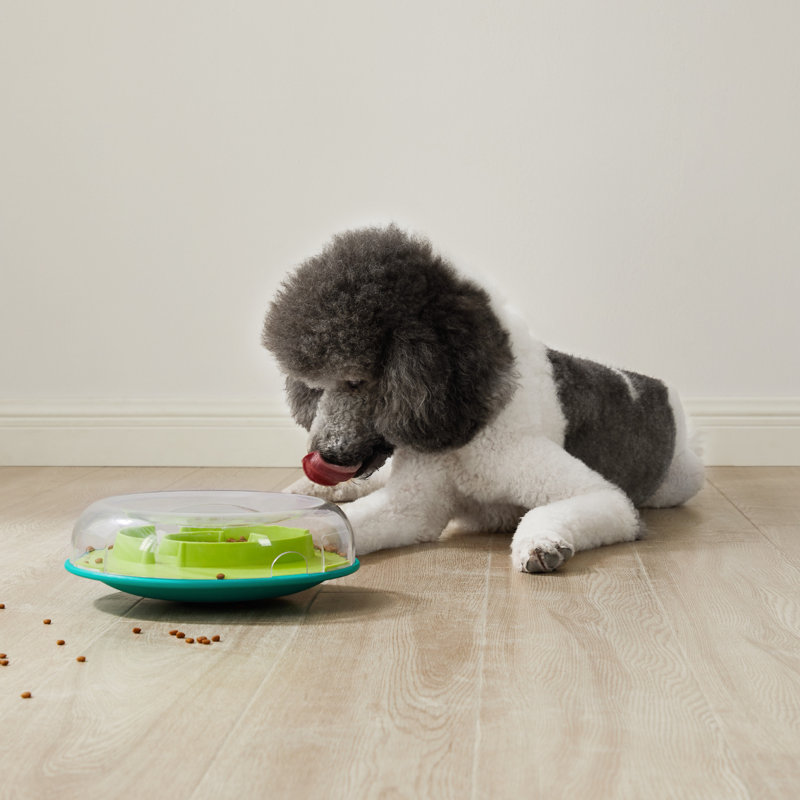 Interactive Green and Clear Plastic Treat Dispenser Bowl