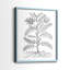 Reproduction encadrée de qualité supérieure B&W Plant Speciment IX - prête à être accrochée - aucun clou requis - aucun clou requis-1068397173-1068397174