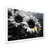 White Single Picture Framed