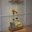 Vitrine moderne en verre avec lumières DEL-663844875