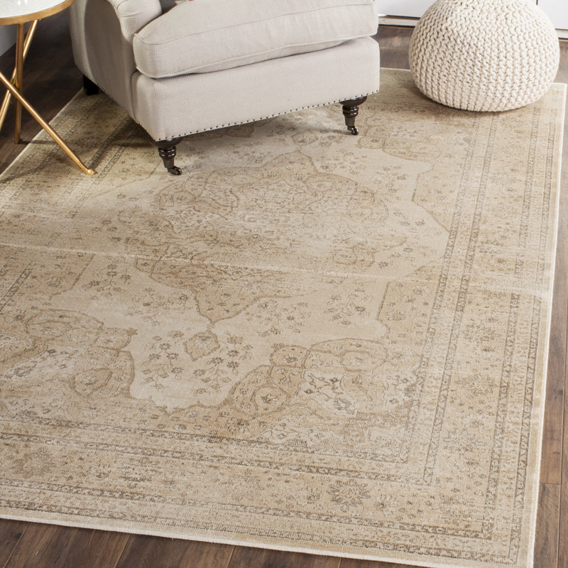Goodman Oriental Area Rug, Rectangle 99 x 170cm