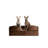 Noah & Paw Giant Dog Bed XXL,  Orthopedic Dog Beds, Eggshell Memory Foam Infused with Cooling Gel, Inner Cover, Waterproof, Machine Washable (Velvet Sofa Collection)-115291377-115291381