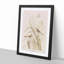 Finches & Butterflies by John Audubon - Framed Print-55620887-55620888